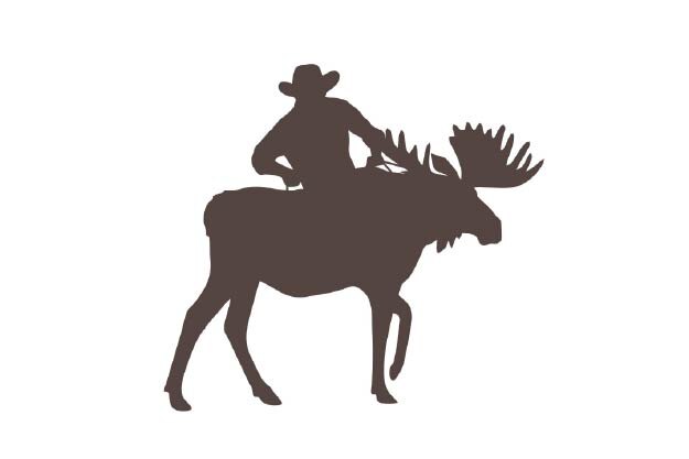 Northern Bronco Logo